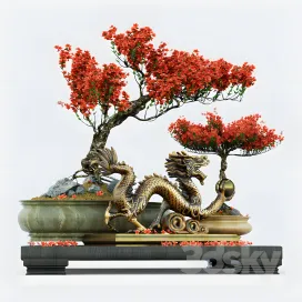 Semi bonsai